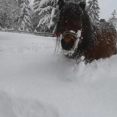 Holiday home Bergsonnhof Jerzens