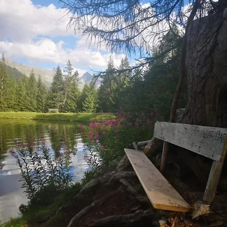 Bergsonnhof Holiday home *