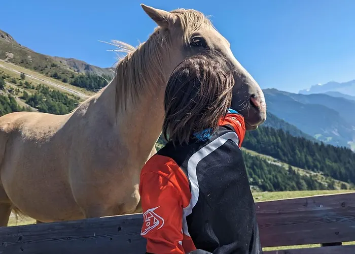 Сasa de vacaciones Bergsonnhof