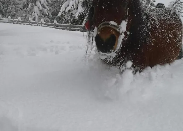 度假居 Bergsonnhof 耶岑斯