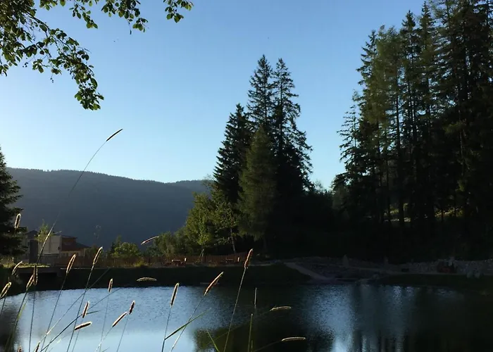 Bergsonnhof 度假居